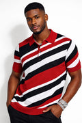 D&G Fox striped. Knit polo