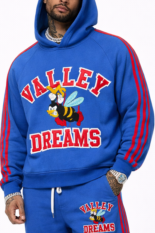 Valley dreams Hoodie