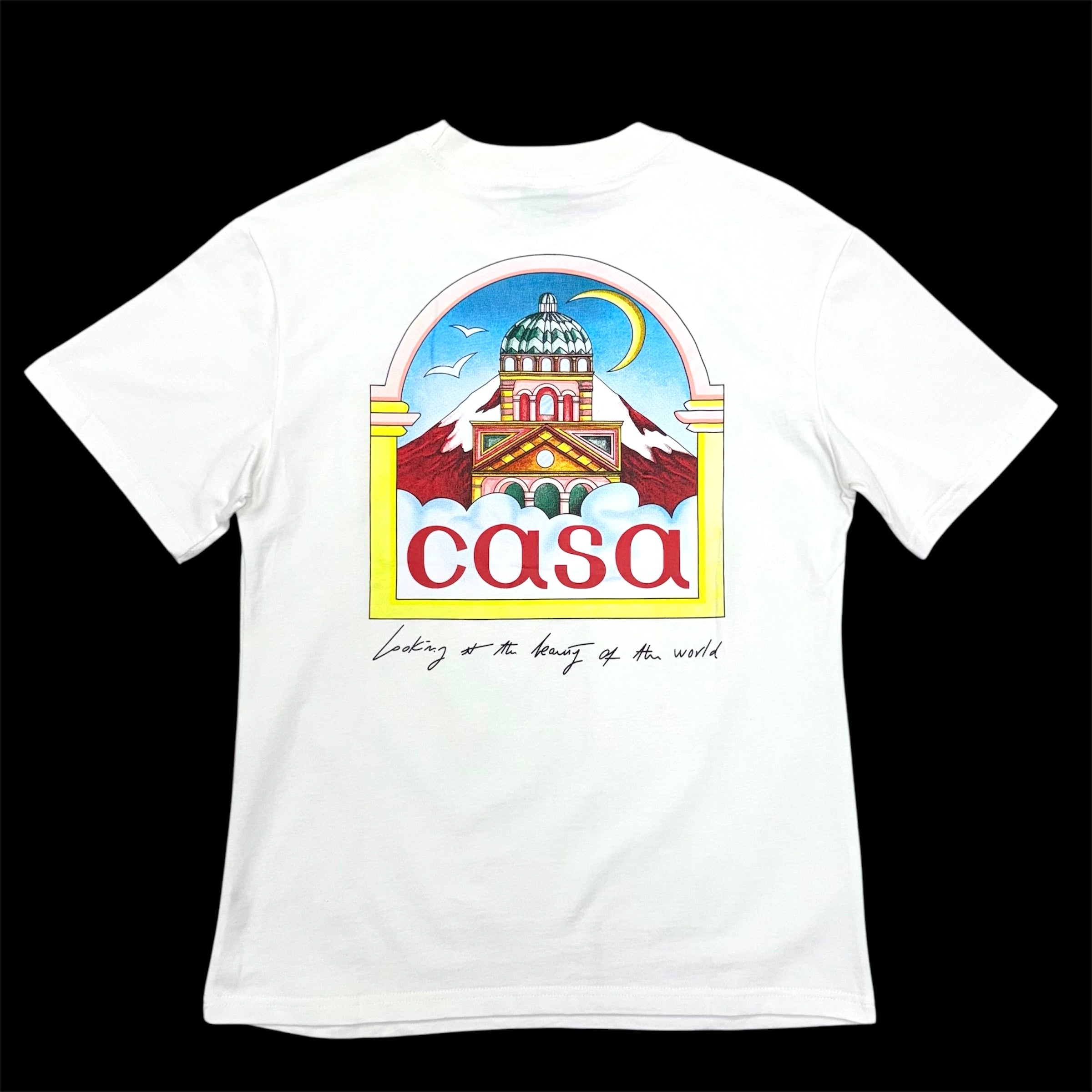 Casa Blanca Mural (Beauty of The world )