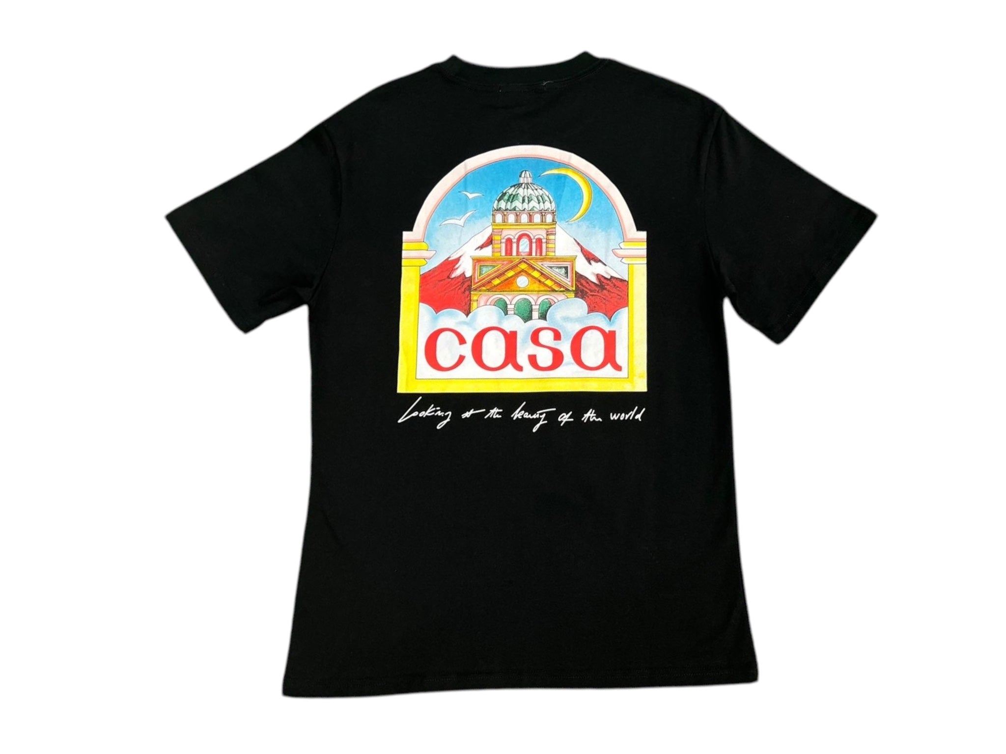 Casa Blanca Mural (Beauty of The world )